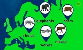 اگر انسان‌ها نبودند، کدام حیوان بر کره‌زمین حکومت می‌کرد؟