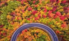 جاده چالوس غرق در مه / این تصاویر رویایی را ببینید