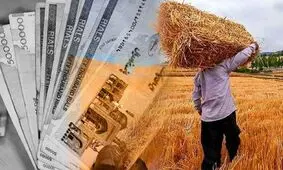 خرید تضمینی گندم به ۷ میلیون و ۵۰۰ هزار تن می‌رسد