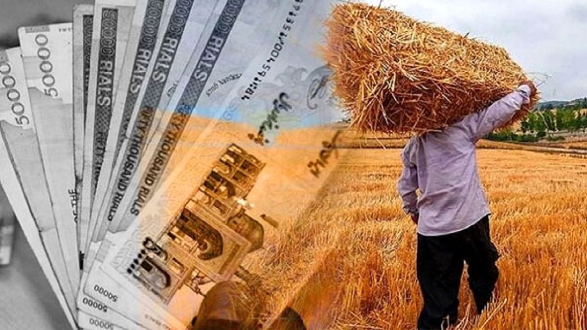 خرید تضمینی گندم به ۷ میلیون و ۵۰۰ هزار تن میرسد