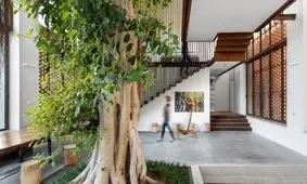 زیباترین خانه‌هایی که «درخت» دارند؛ از پارمای ایتالیا تا رویان مازندران