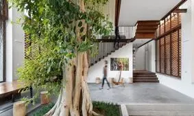 زیباترین خانه‌هایی که «درخت» دارند؛ از پارمای ایتالیا تا رویان مازندران