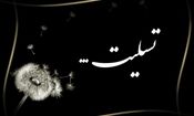 پیام تسلیت مدیرکل فرهنگ و ارشاد اسلامی خوزستان در پی درگذشت خبرنگار پیشکسوت ورزشی استان

