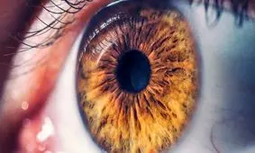 اولین نمونه موفق پیوند قرنیه مصنوعی در جهان/ ویدئو