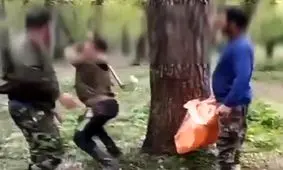 تبرکشی برای نگهبان پارک جنگلی/ ویدئو