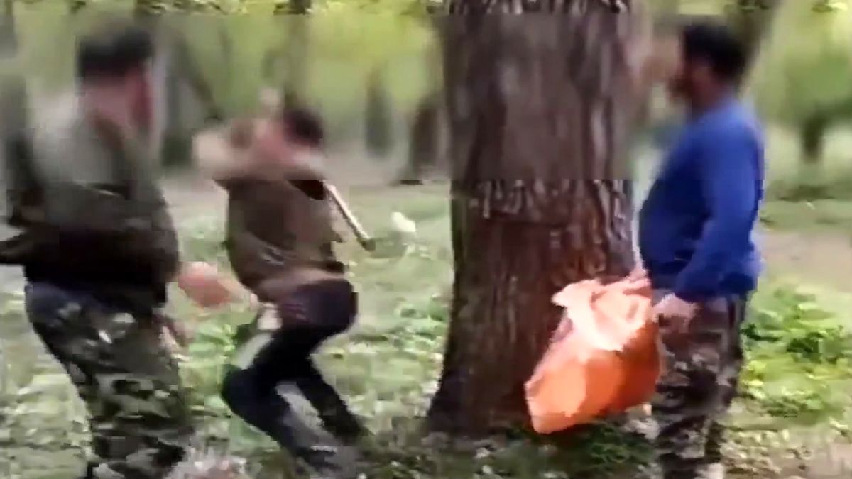 تبرکشی برای نگهبان پارک جنگلی/ ویدئو