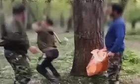 تبرکشی برای نگهبان پارک جنگلی/ ویدئو