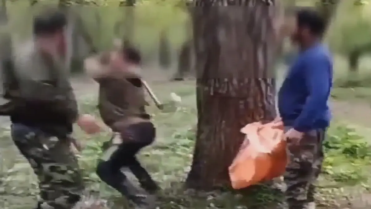 تبرکشی برای نگهبان پارک جنگلی/ ویدئو