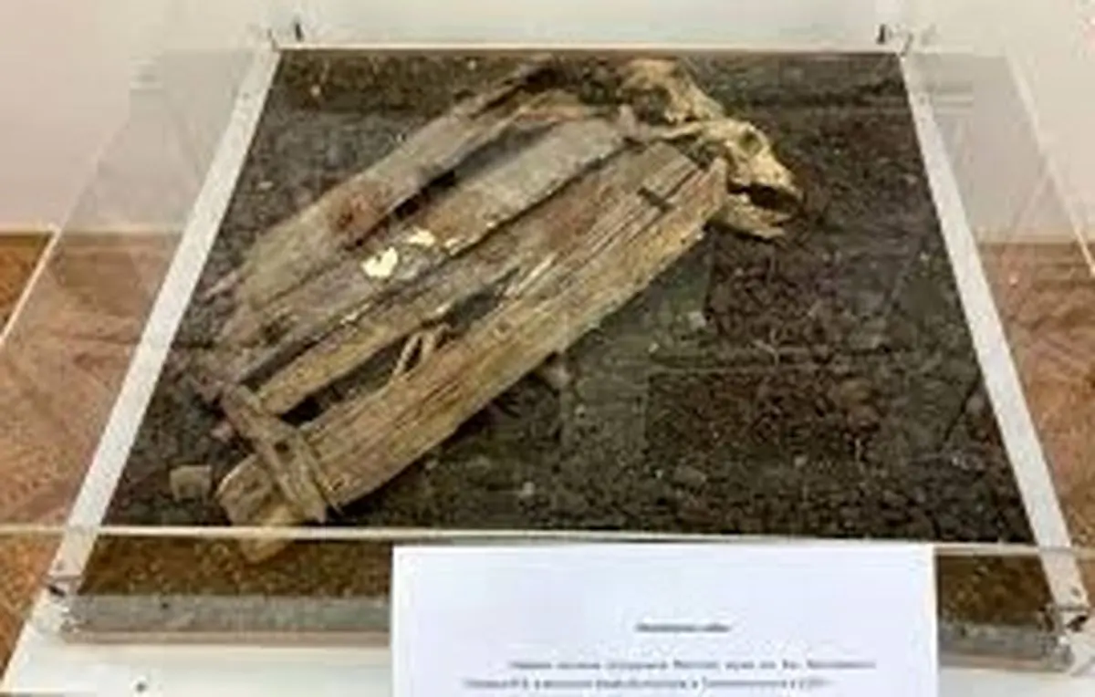 کشف اسکلت «سگ‌های قربانی» که زیر «گهوارۀ کودکان» دفن شده بودند 