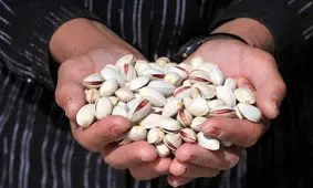 ممنوعیت واردات پسته ایران به این کشور تایید شد
