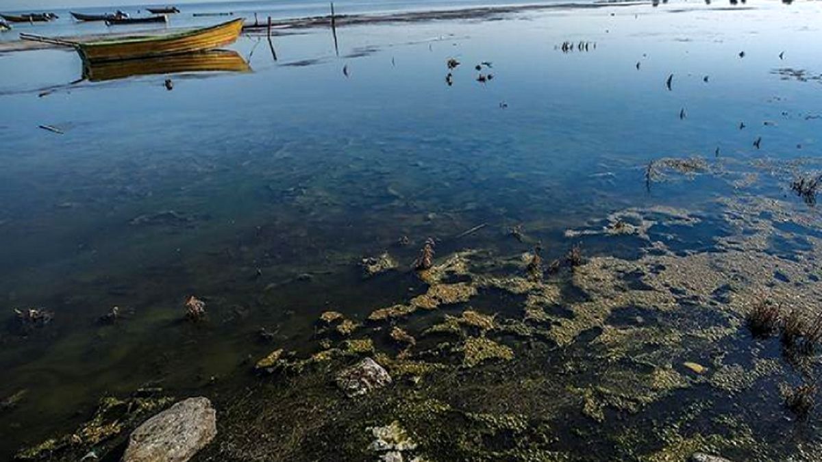لایروبی، آخرین امید برای احیای خلیج گرگان