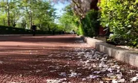 مجموعه‌ فرهنگی و ورزشی انقلاب تعطیل شد
