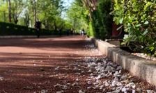 مجموعه‌ فرهنگی و ورزشی انقلاب تعطیل شد
