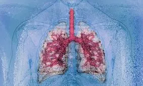 نخستین پیوند همزمان ریه و کبد میان دو فرد HIV مثبت

