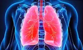 مصرف این ویتامین ریه شما را سالم نگه می دارد