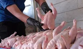 مرغ ۱۰۰ هزار تومانی، دستپخت بی‌تدبیری