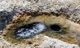 چشمه‌ های آهکی توران‌ پشت یزد در خطر نابودی