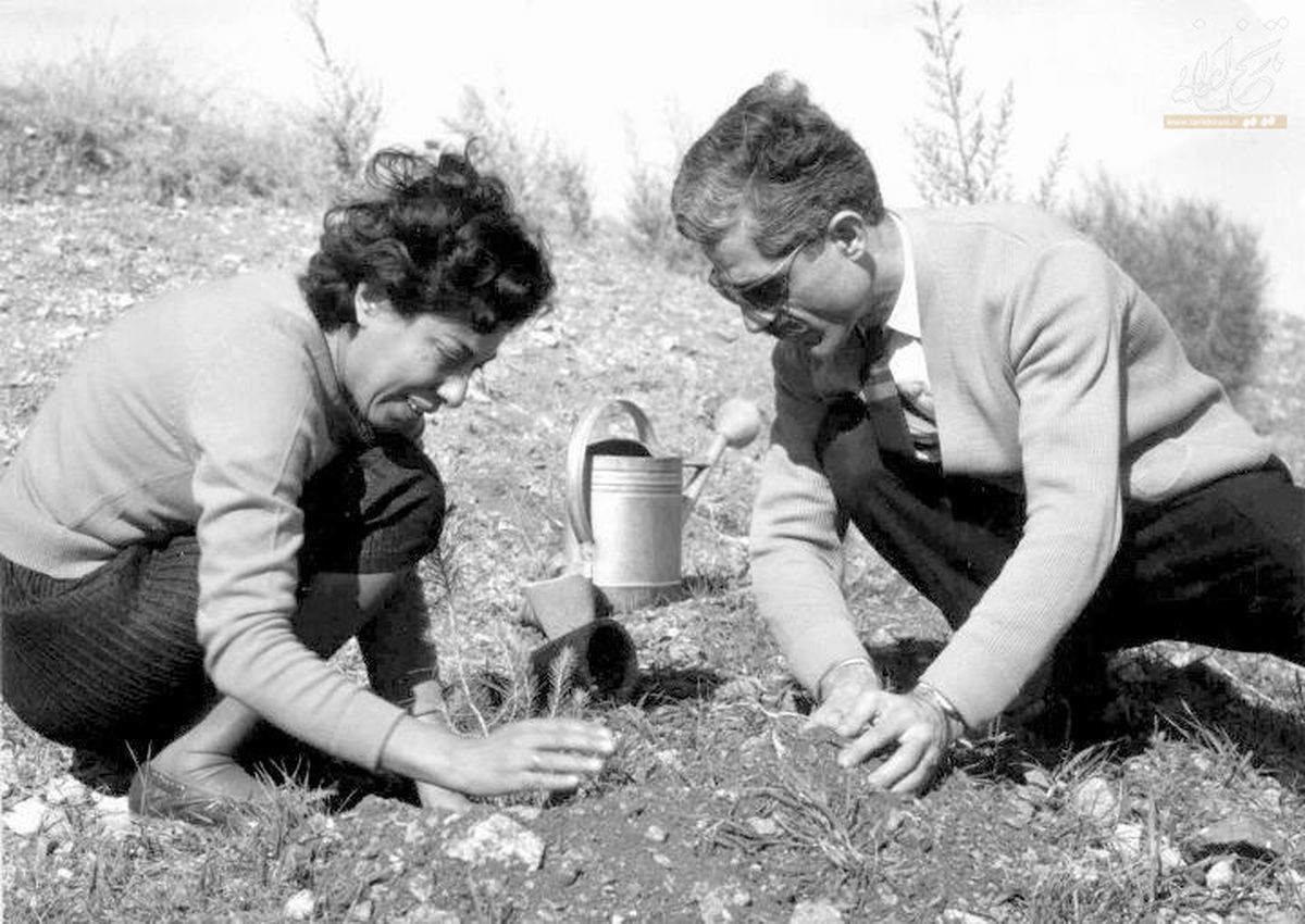 ماجرای ویلای جلال آلاحمد و سیمین دانشور که زیر دریای خزر رفته است، چیست؟