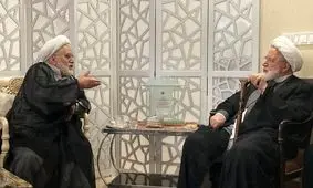 عبدالله نوری به دیدار مهدی کروبی رفت