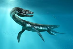کشف فسیل هیولای دریایی ۱۰۰ میلیون ساله در استرالیا