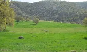 زمین خواری ۱۴۰ میلیارد ریالی در چالوس
