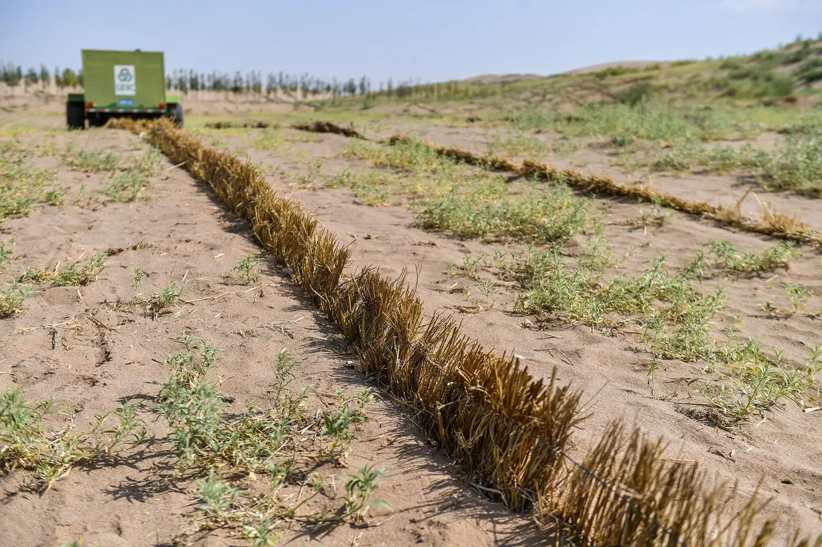 همکاری زیست‌محیطی چین-ایران؛ الگوی موفق همکاری جنوب-جنوب