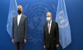 امیرعبداللهیان: ارائه قطعنامه به شورای حکام رفتاری شتابزده و سیاسی بود

