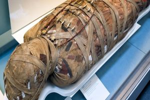 راز چندش‌آور مومیایی‌های مصر باستان