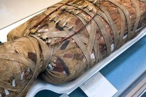 راز چندش‌آور مومیایی‌های مصر باستان