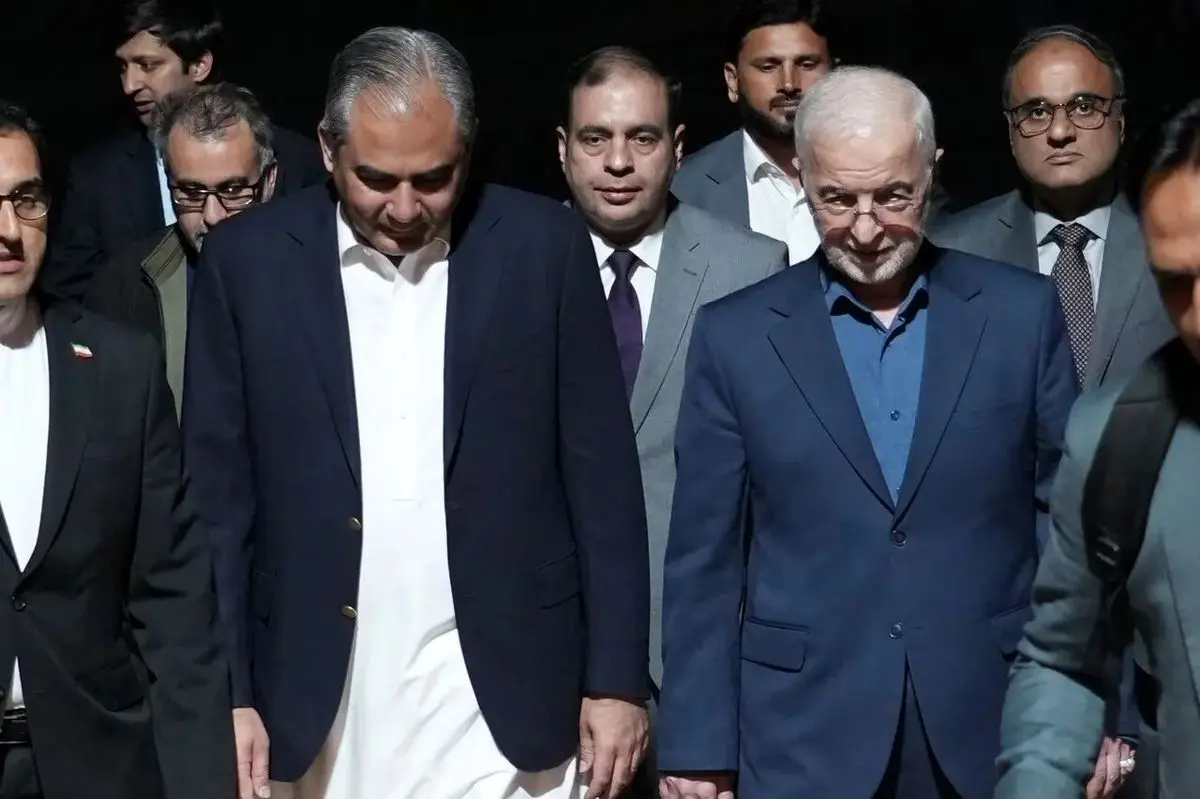 وزیر کشور پاکستان وارد تهران شد

