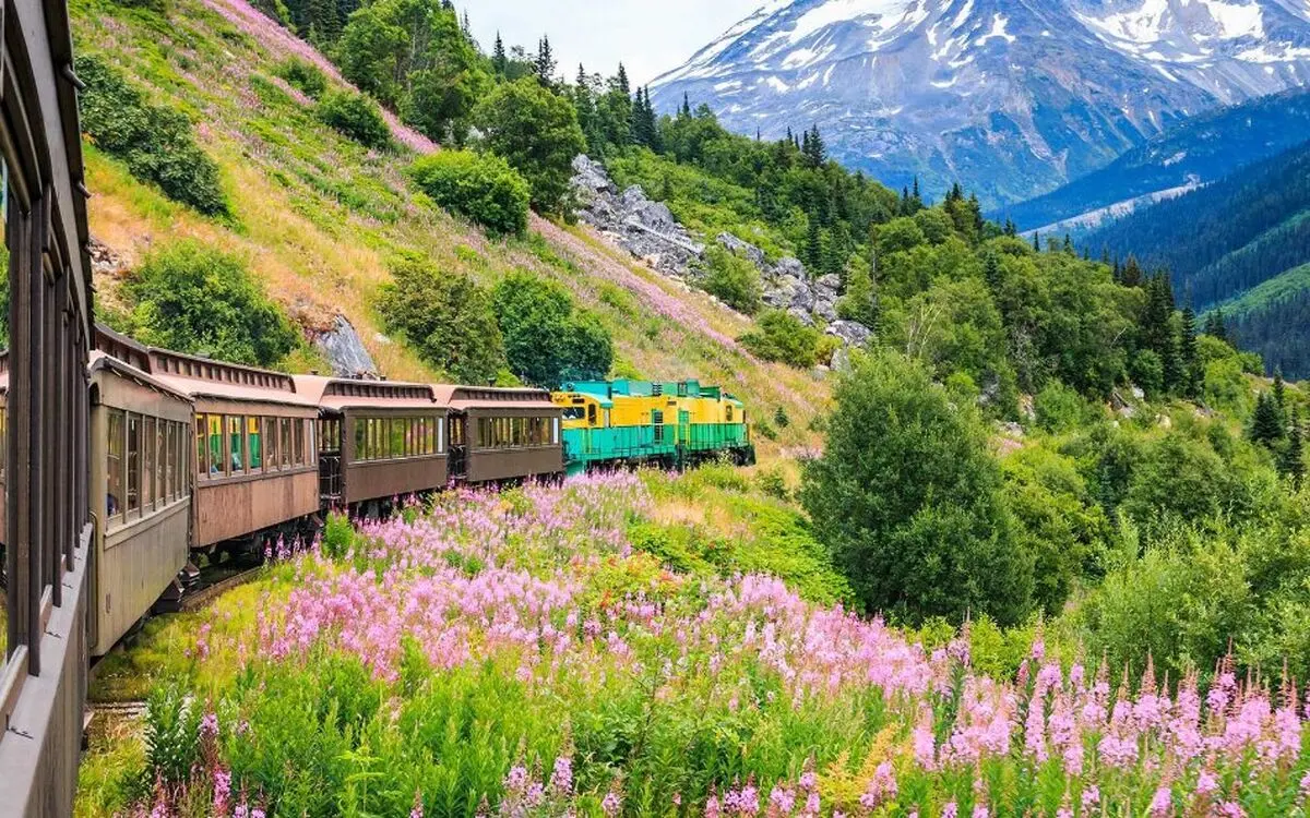 چرا سفر با قطار به حفظ محیط زیست کمک می‌کند؟