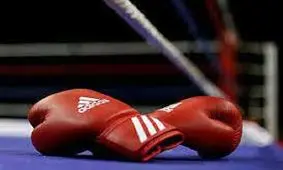 مربی تیم ملی بوکس اخراج شد؟