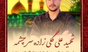 امروز یک دست تشییع می‌شود، بدون پیکر

