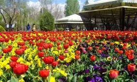 جزییات تعطیلی باغ گل های کرج