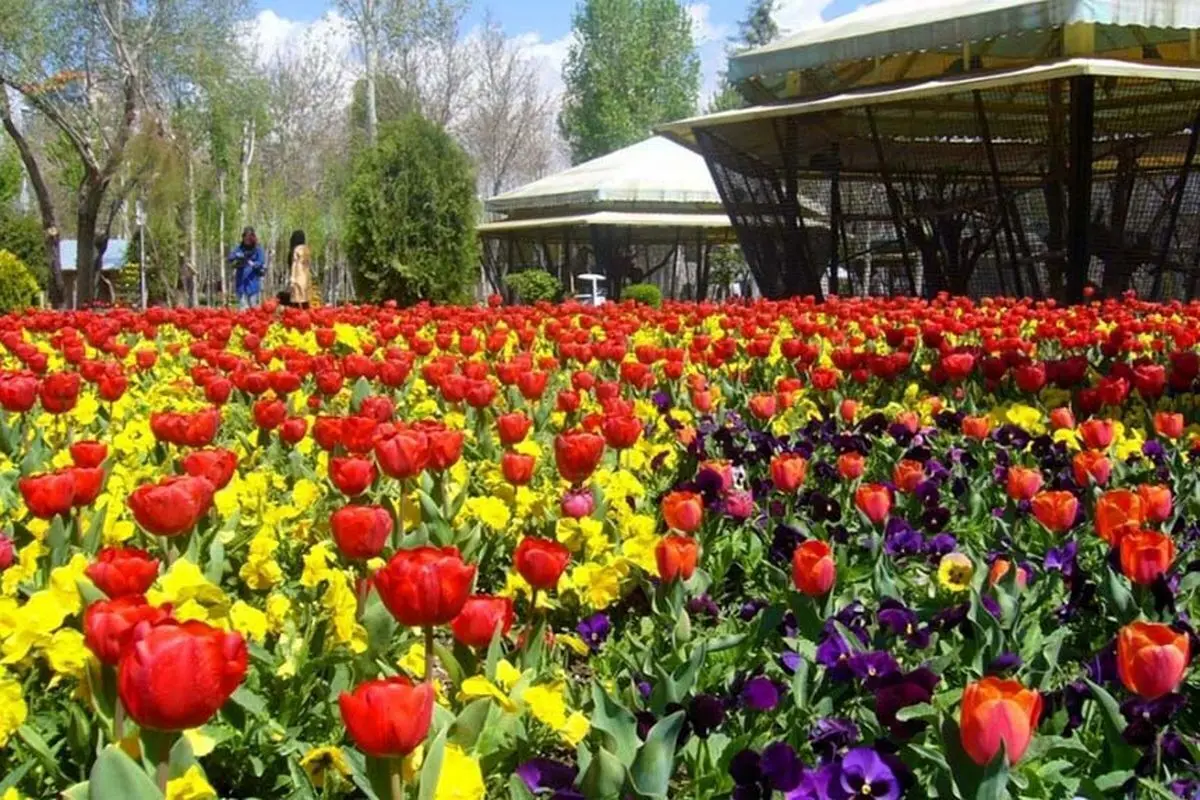 جزییات تعطیلی باغ گل های کرج