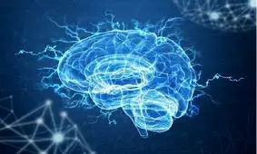 ساخت دستگاهی برای کاهش عوارض بیماری‌ پارکینسون/ استفاده از میمون‌ها برای فاز آزمایشی این دستگاه

