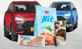 شیرین عسل رقیب جدید سایپا و ایران‌خودرو/ وعده تولید یک خودرو روز اروپایی