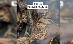 گفتگو با راننده کانتینر پای مرغ در انفجار بندرعباس/ ماجرای عجیب ترین بار اسکله شهید رجایی چه بود؟/ ویدئو