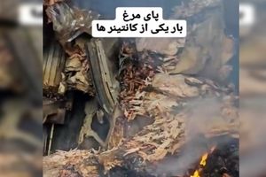 گفتگو با راننده کانتینر پای مرغ در انفجار بندرعباس/ ماجرای عجیب ترین بار اسکله شهید رجایی چه بود؟/ ویدئو