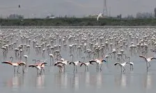 حجم آب دریاچه ارومیه ۱۸ برابر شد