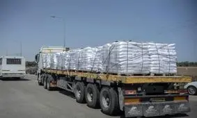 ۲۵ کامیون حامل کمک‌های بشردوستانه وارد شمال نوار غزه شد
