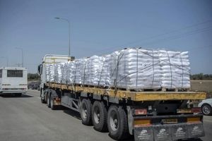۲۵ کامیون حامل کمک‌های بشردوستانه وارد شمال نوار غزه شد
