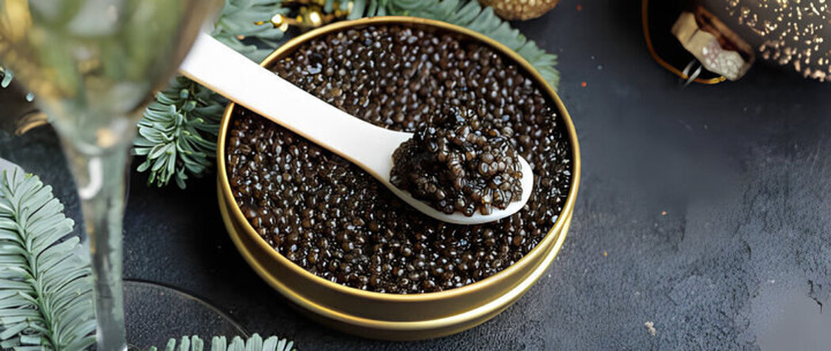 رقابت جهانی برای تصاحب بازار خاویار؛ ژاپنی‌ها استروژن‌های نر را به ماده تبدیل کردند/ معجزه علمی برای تولید خاویار در ژاپن/ وقتی ماهی‌های نر به «ماده ممتاز» تبدیل می‌شوند
