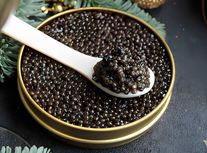 رقابت جهانی برای تصاحب بازار خاویار؛ ژاپنی‌ها استروژن‌های نر را به ماده تبدیل کردند/ معجزه علمی برای تولید خاویار در ژاپن/ وقتی ماهی‌های نر به «ماده ممتاز» تبدیل می‌شوند
