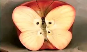 تست شخصیت شناسی/ شما فرد امیدواری هستید یا وفادار؟