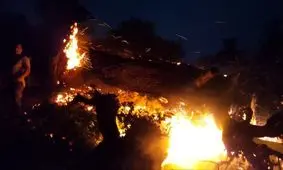 آتش سوزی یک ساختمان مسکونی در جنوب غرب تهران؛۴عضو خانواده جان باختند