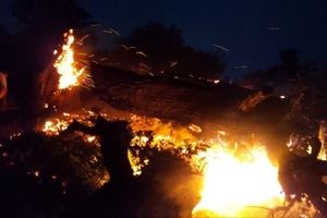 آتش سوزی یک ساختمان مسکونی در جنوب غرب تهران؛۴عضو خانواده جان باختند