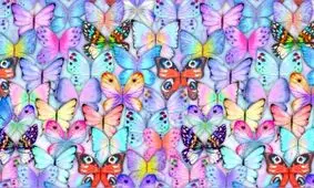 تست بینایی/ پروانه‌ متفاوت با بقیه را فقط در 6 ثانیه پیدا کنید