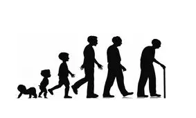 در طول زندگی چقدر برای فعالیت‌های مختلف وقت می‌گذاریم؟/ اینفوگرافی

