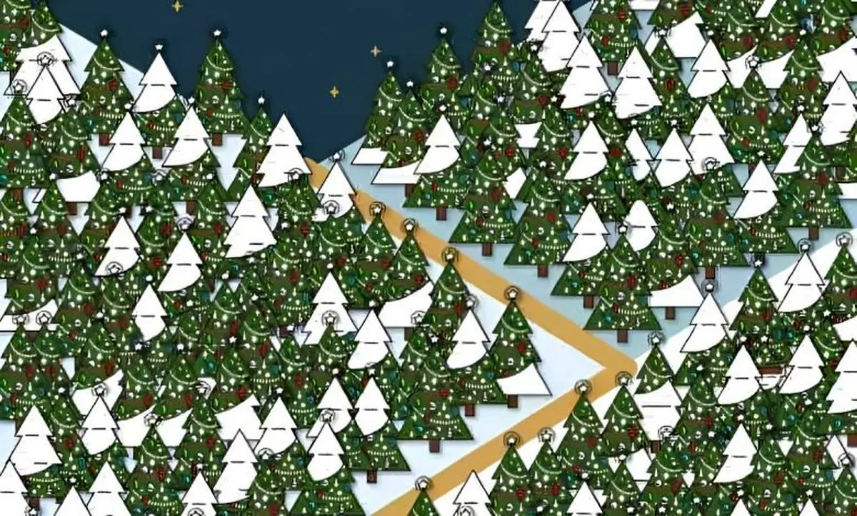 تست بینایی/ جن کریسمسی پنهان شده در جنگل کاج را پیدا کنید